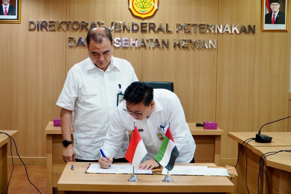 Indonesia   UEA Jalin Kerja Sama Investasi Industri Susu