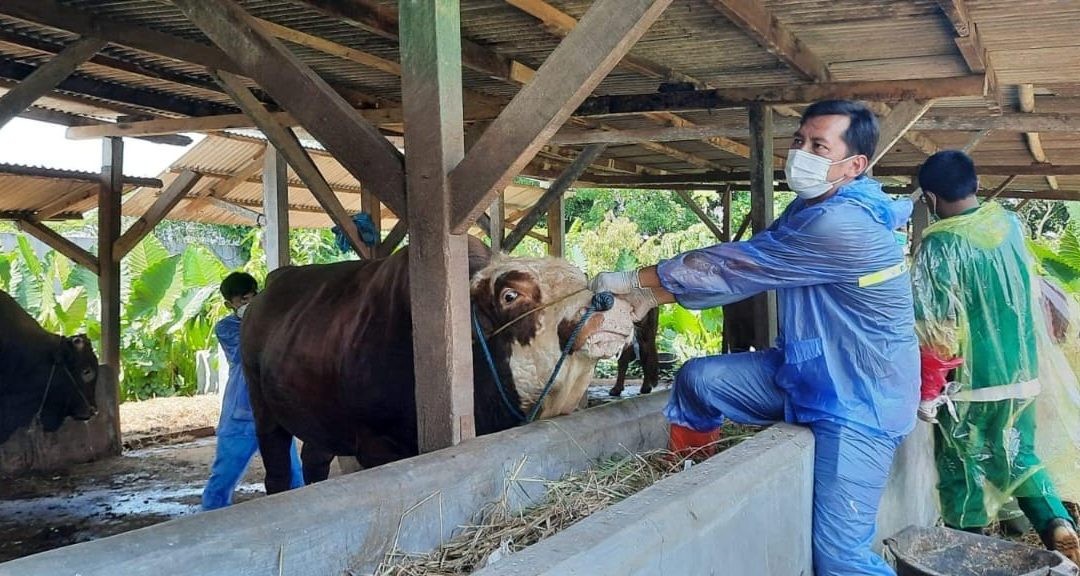 Kementan Tingkatkan Edukasi dan Pencegahan Penyakit Hewan di Tasikmalaya