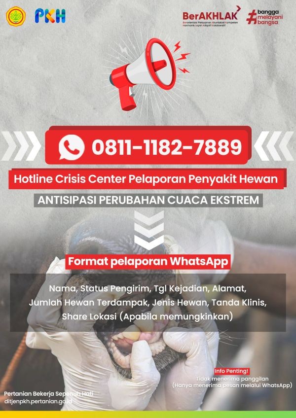 Hotline Crisis Center