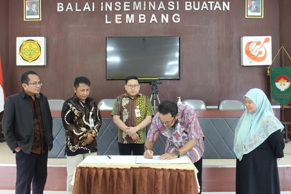 Kementan dan Unhas Percepat Pengembangan Kuda Nasional Lewat Semen Beku