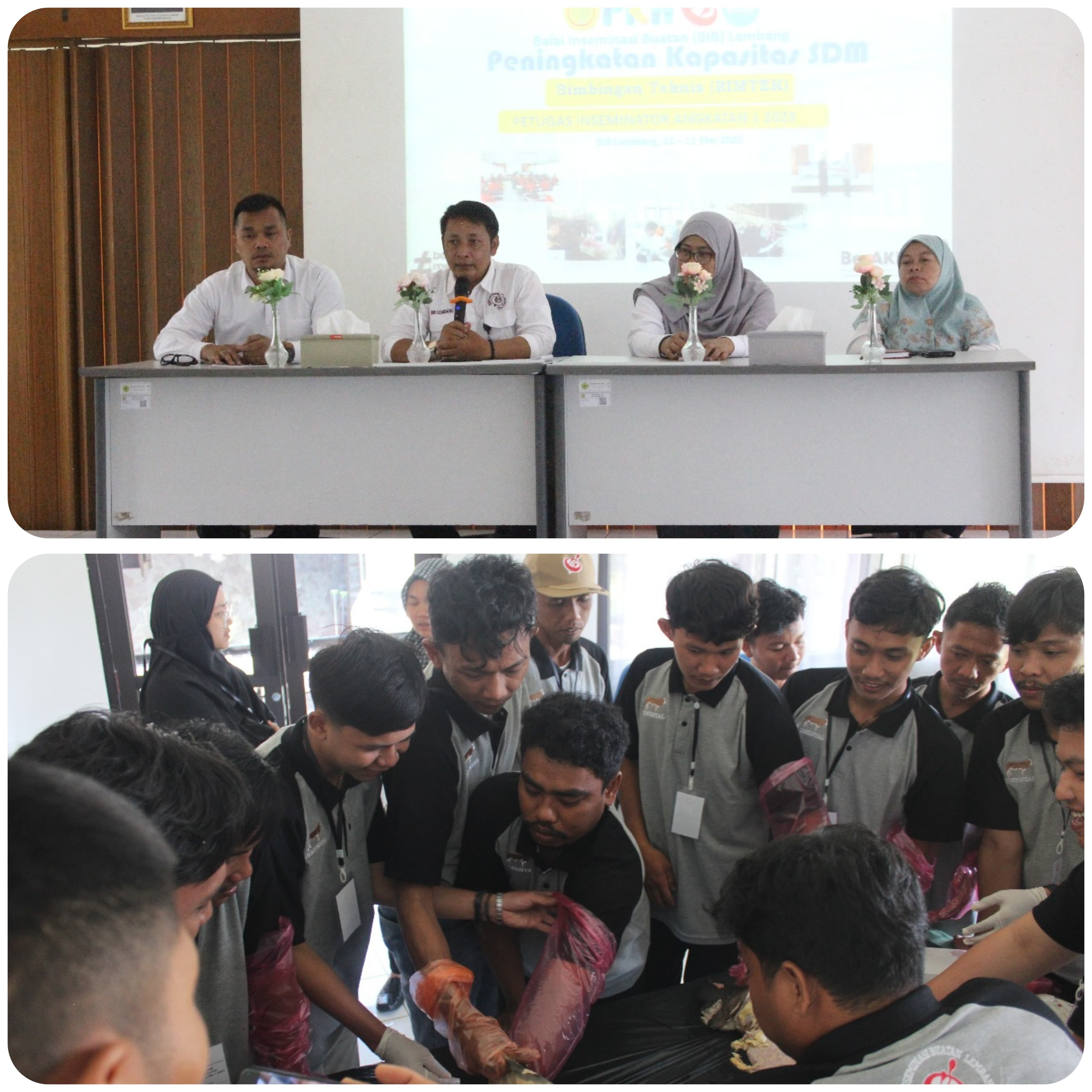 Kementan Cetak Inseminator Swadaya untuk Dukung Swasembada Daging