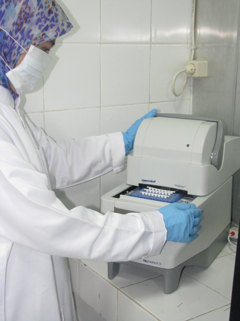 Kegiatan Laboratorium