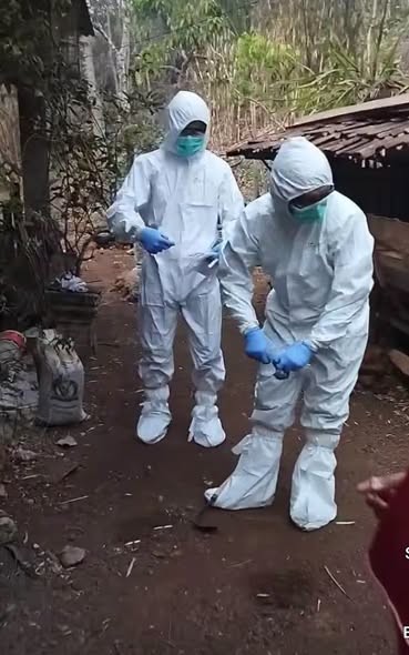 Kementan Perkuat Langkah Pemda dalam Pengendalian Penyakit Hewan di Gunungkidul