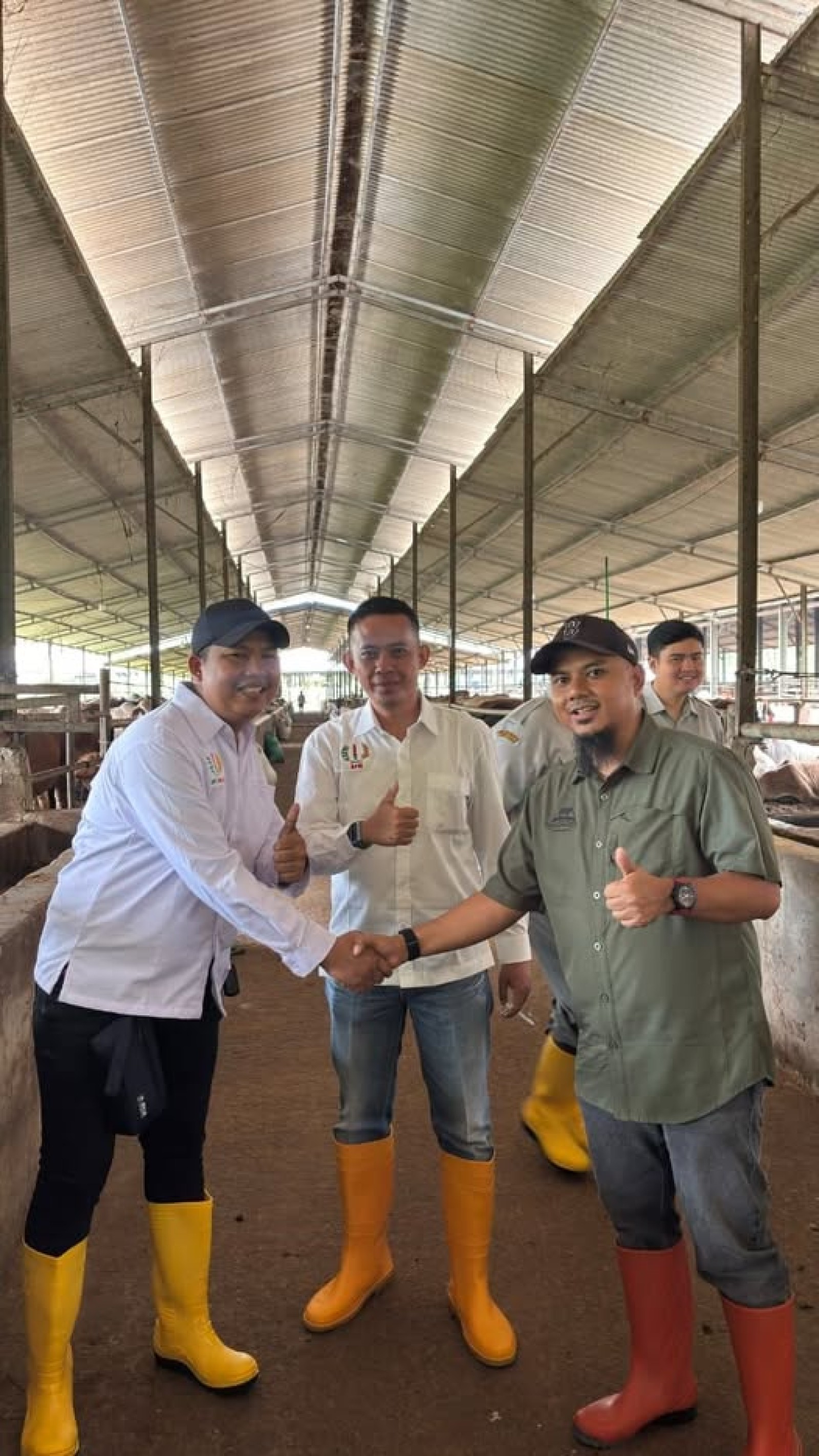 Kementan Pastikan Perdagangan Sapi Hidup Kian Terbuka, Peternak dan Pelaku Usaha Diuntungkan