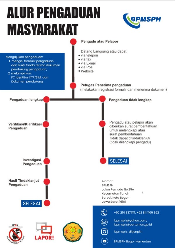 Infografis 5