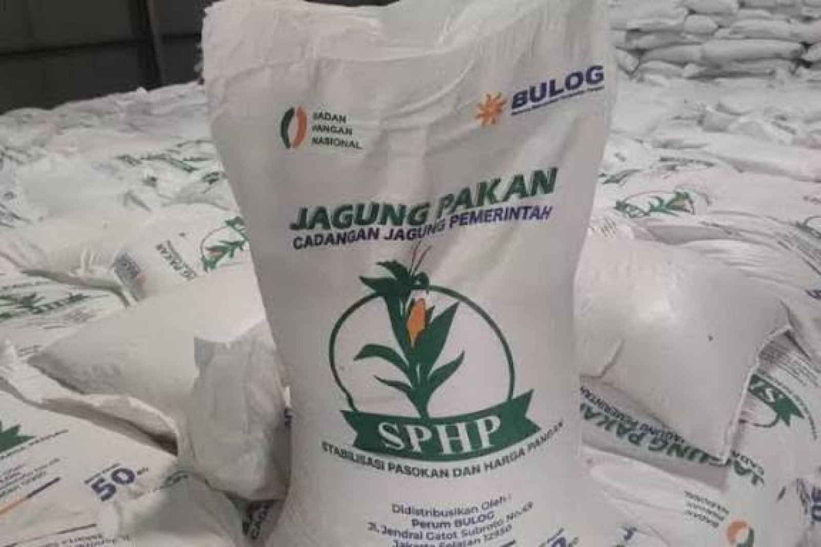 Kementan Kawal SPHP Jagung bagi Peternak, Penyaluran Telah Mencapai 127 Ribu Ton