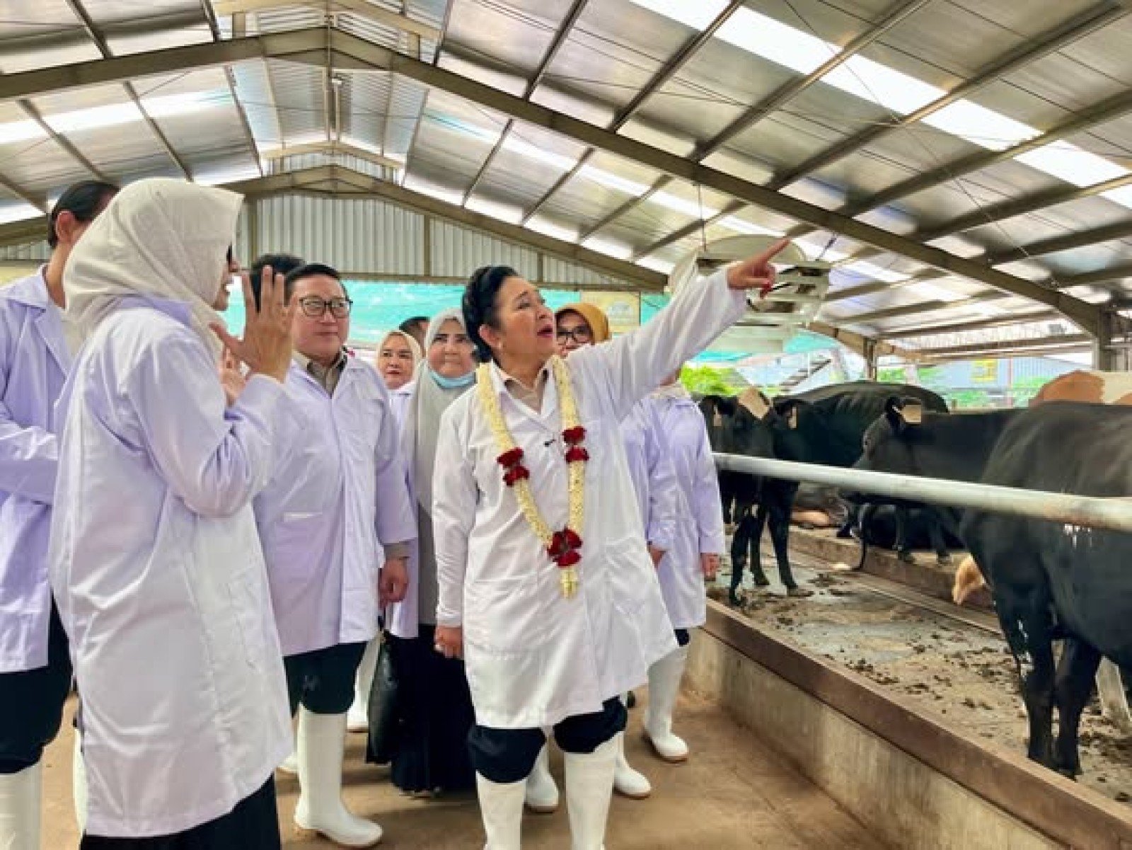 Kementan dan Komisi IV DPR RI Perkuat Koperasi Susu, Dorong Kemandirian Susu Nasional