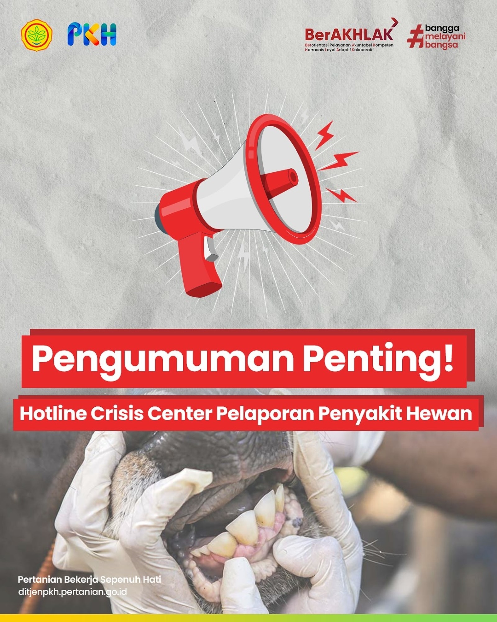 Sebaran PMK
