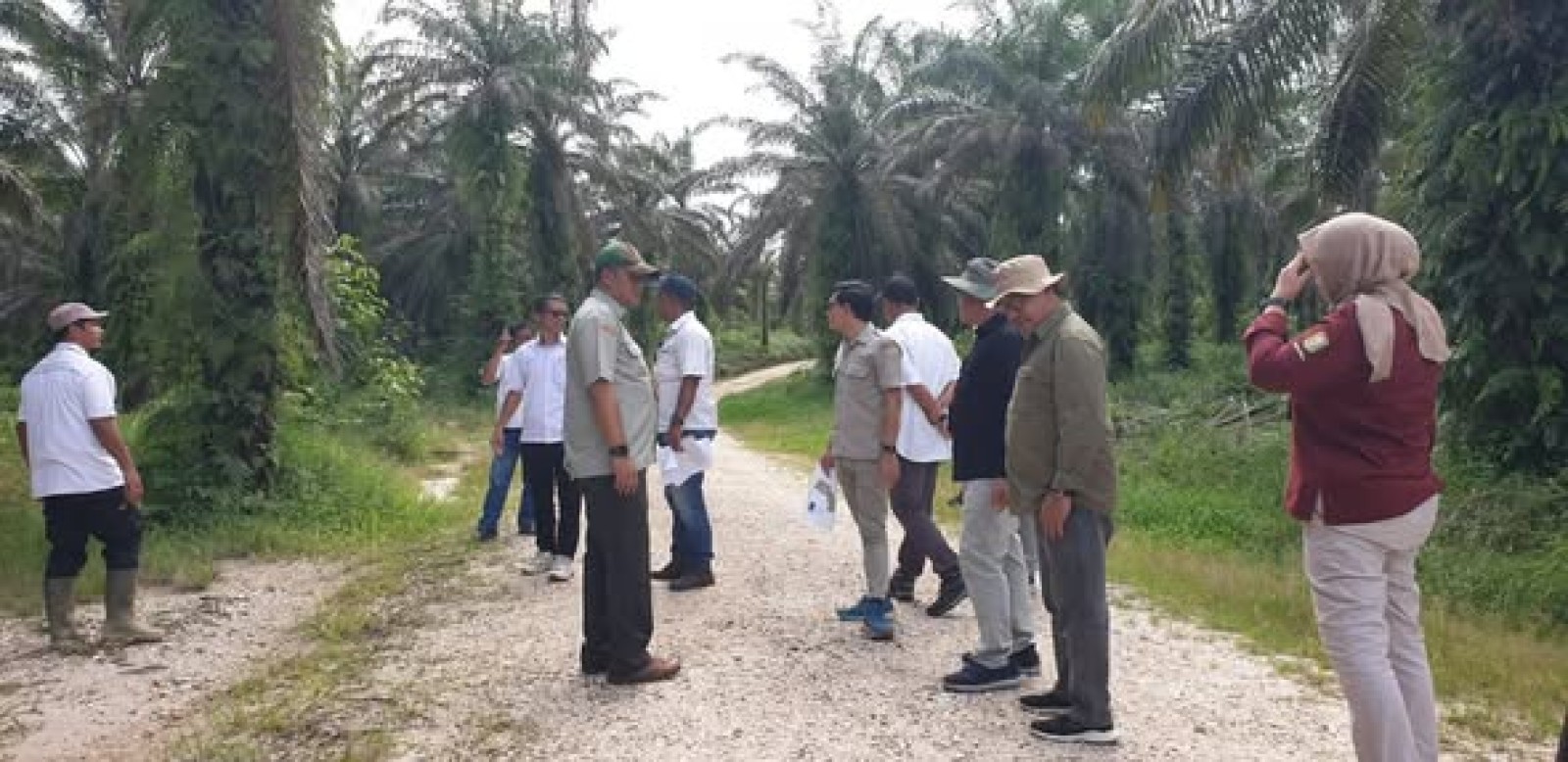 Kementan Lirik Kalbar untuk Hilirisasi Ayam Terintegrasi, Daya Saing Peternak Didorong