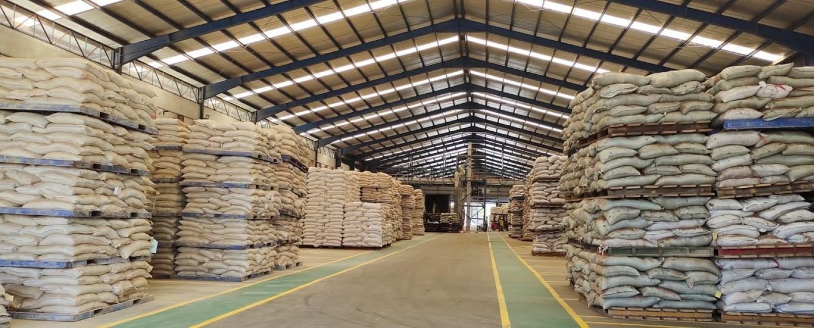 Harga Pakan Terpantau Turun, Kementan: Biaya Produksi Peternak Diharapkan Lebih Efisien