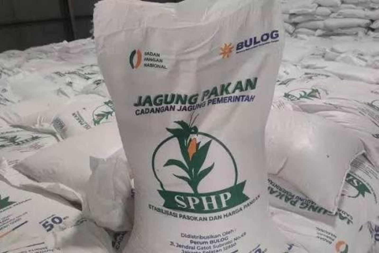 gambar