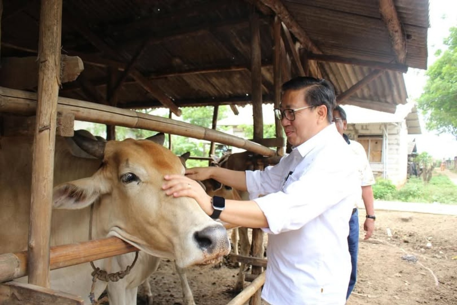 Wamentan Sudaryono: Produksi Pangan Naik, Impor Ditekan, Pertanian Gerakkan Ekonomi Daerah