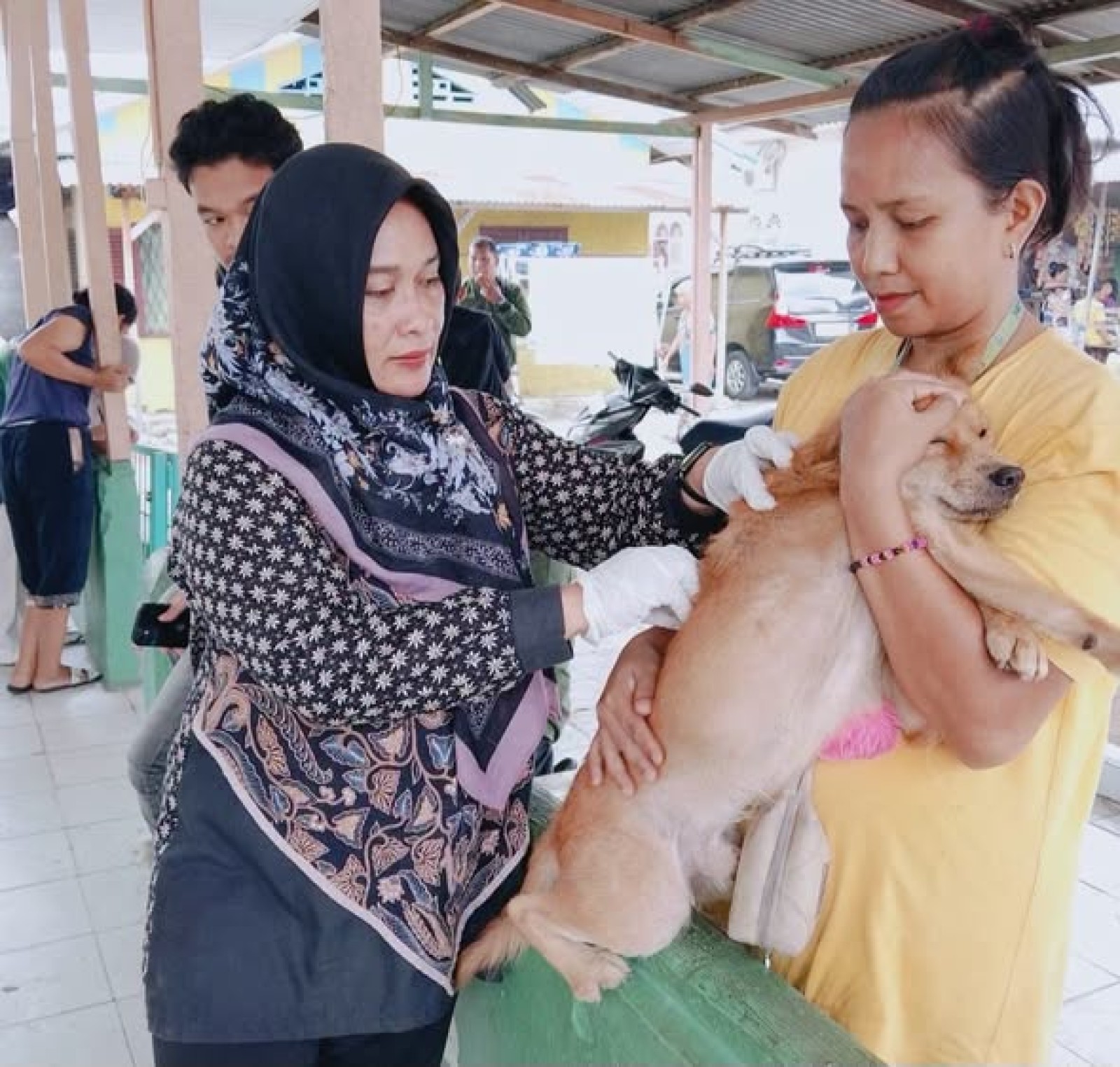Bulan Bakti Peternakan ke-190 Kementan Serentakkan Vaksinasi Rabies, Sumut Bidik Rekor MURI