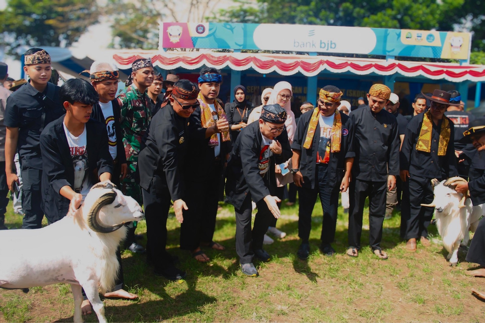 Kementan Dukung Pelestarian Domba Garut Lewat Ajang Seni Ketangkasan