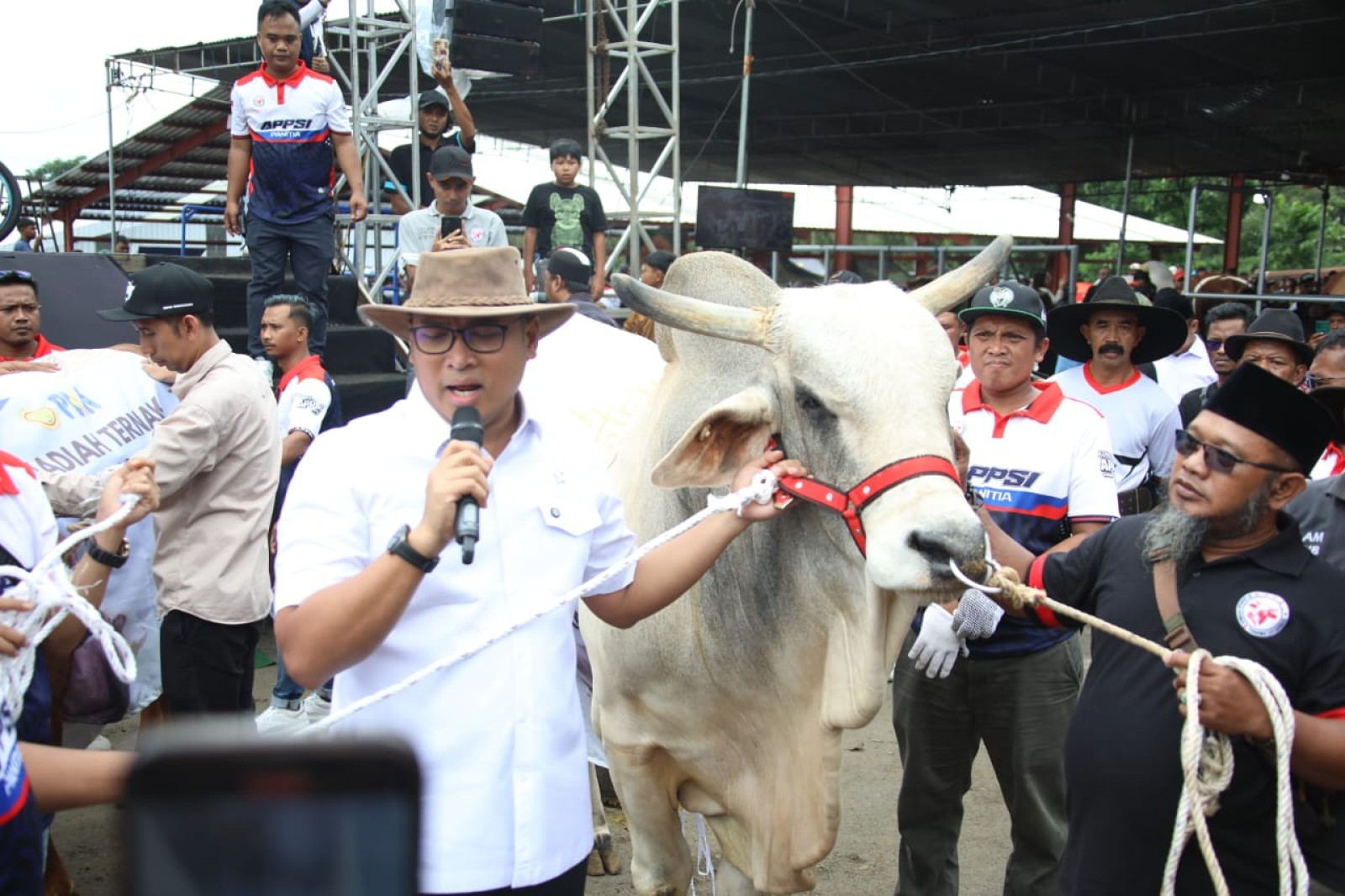 Bukan Sekadar Kontes  Wamentan Sudaryono Ubah Expo Sapi Jadi Panggung Revolusi Ternak 