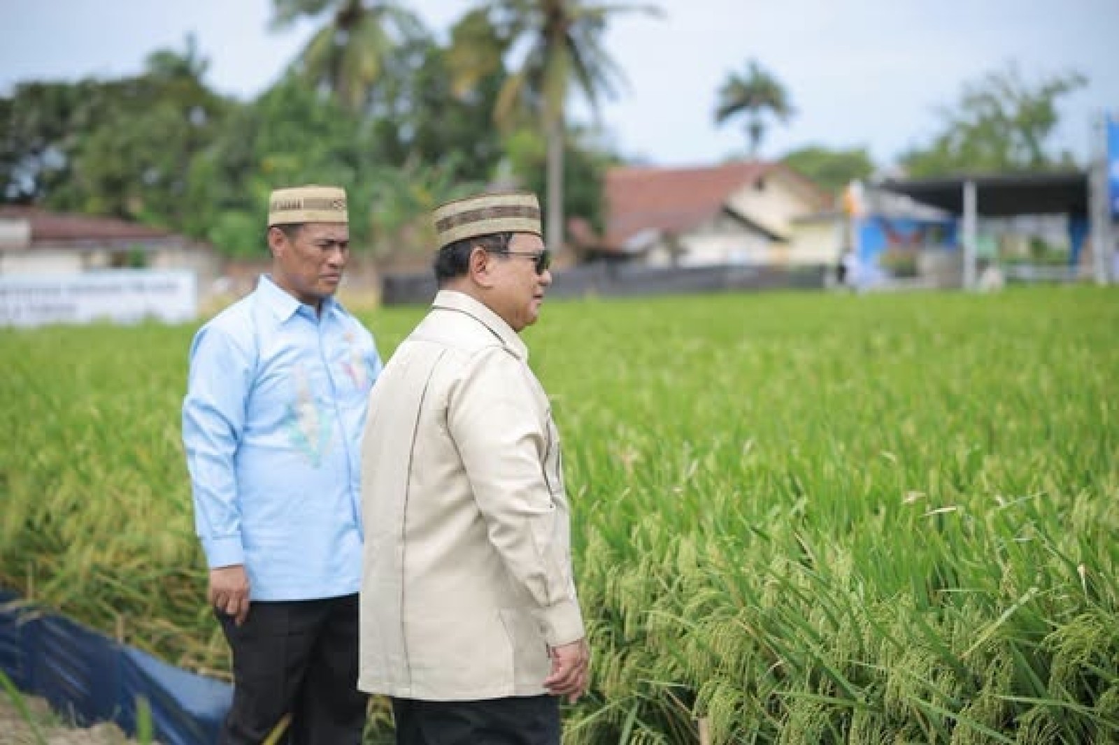Di Hadapan 100 Ribu Petani dan Nelayan seluruh Indonesia di PENAS XVll, Presiden Prabowo Pastikan Swasembada Pangan Berkelanjutan