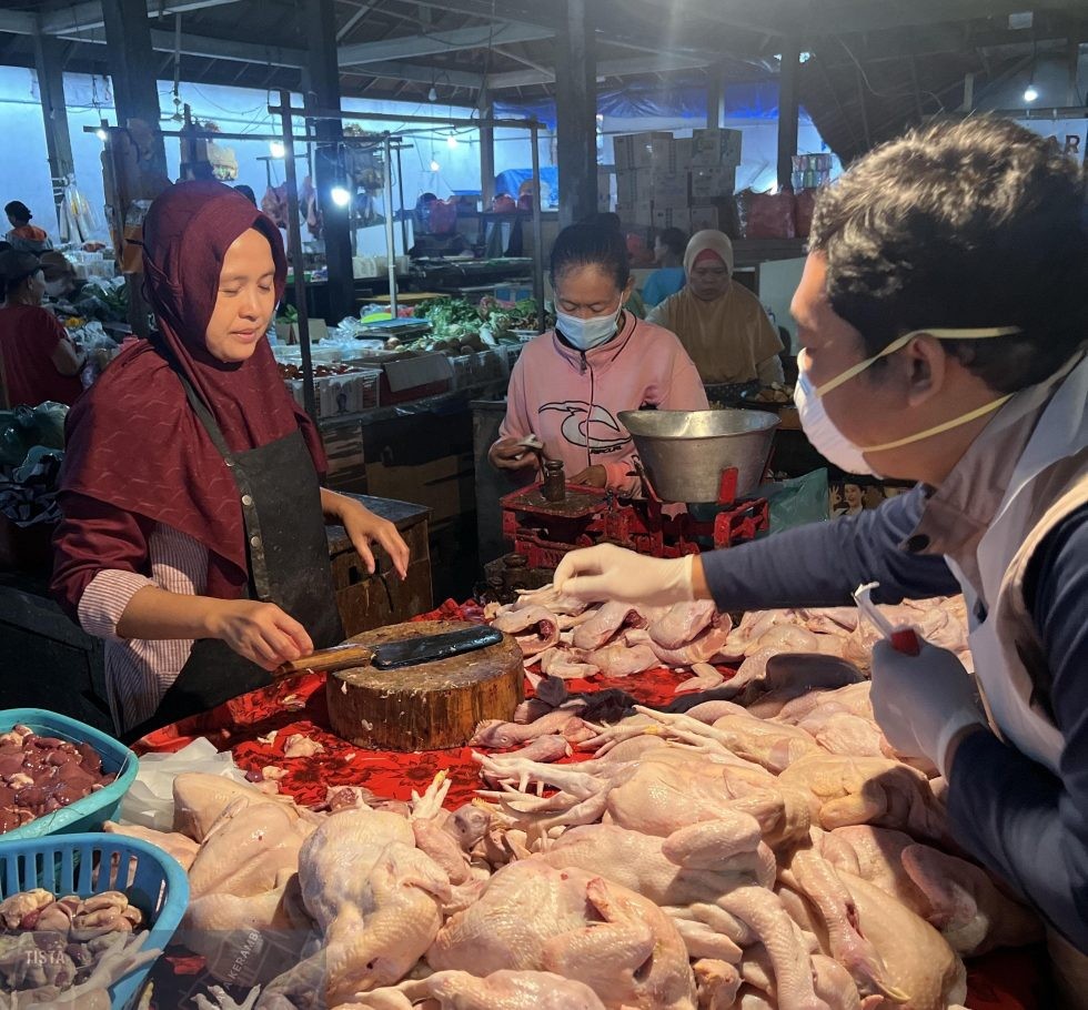 Kementan Ambil Langkah Proaktif, Tangani Ancaman Flu Burung di Bali