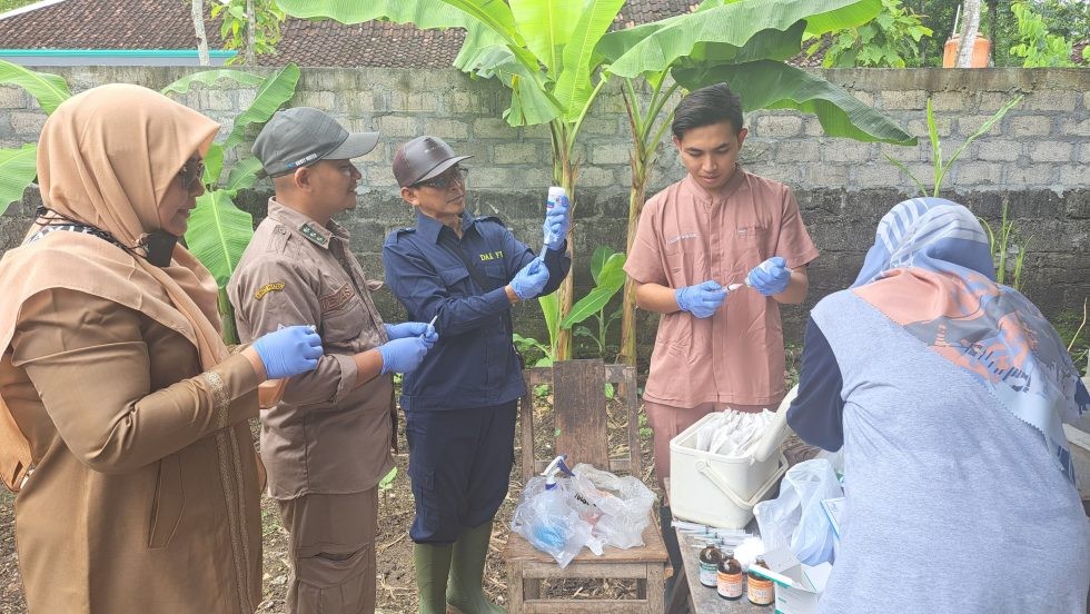 Kementan Percepat Vaksinasi PMK di Gunungkidul, Daerah Istimewa Yogyakarta
