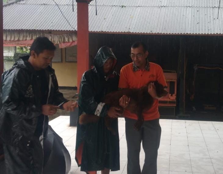 Kementan Gelar Vaksinasi Rabies Door to Door di Bangli, Lindungi Warga dan Wisatawan