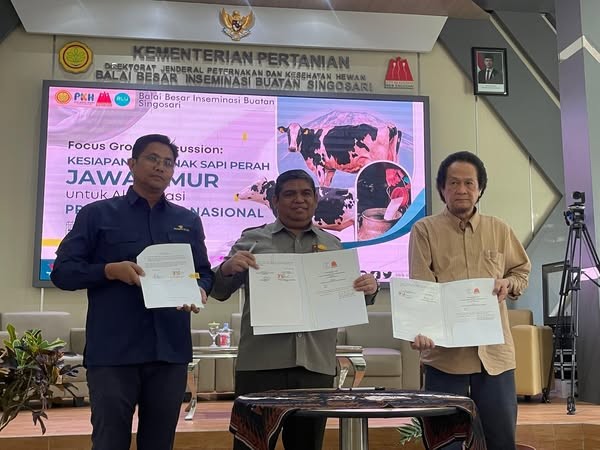 Susu Lokal Jadi Andalan, Kementan Dukung Jatim Tingkatkan Kualitas Sapi Perah