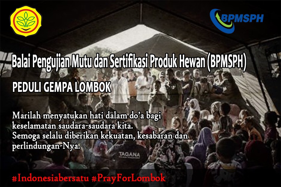 Pray For Lombok