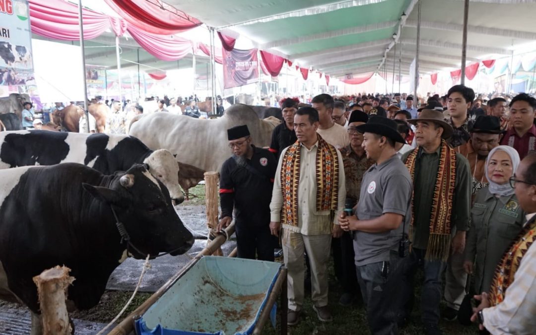 Mentan Amran Respons Cepat Keluhan Peternak Lampung soal Harga Daging Sapi