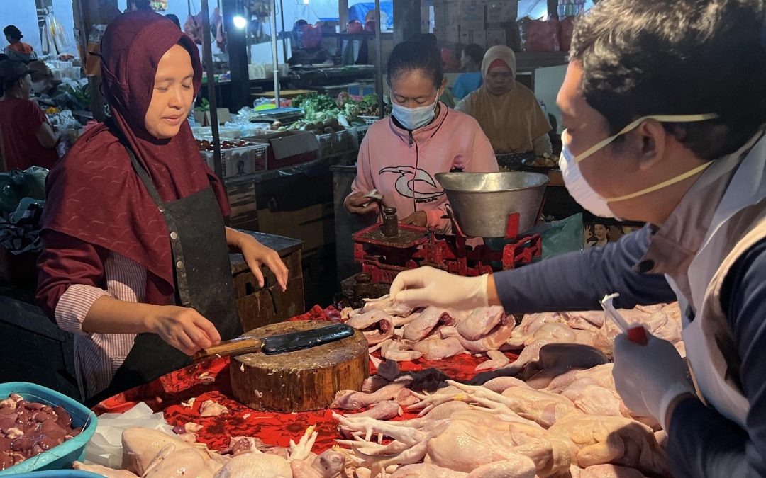 Kementan Ambil Langkah Proaktif, Tangani Ancaman Flu Burung di Bali