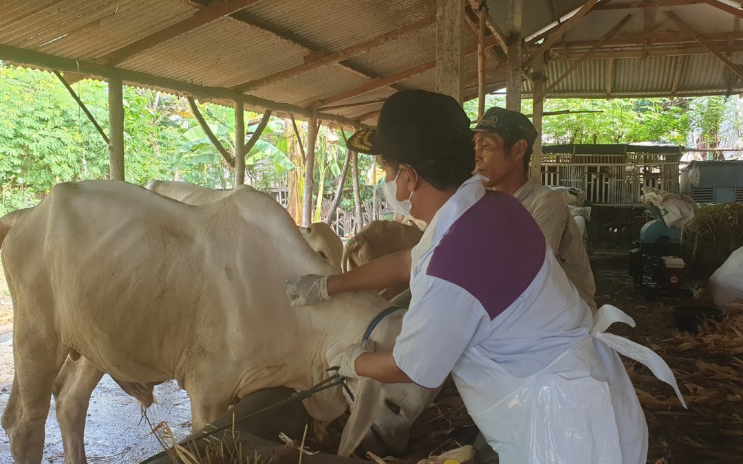 Waspadai Gejala Penyakit Ngorok, Begini Cara Mencegahnya