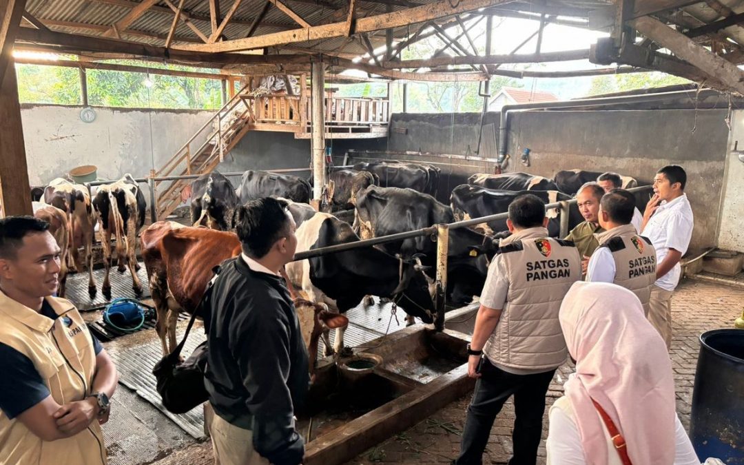 Peternak Demo Buang Susu, Satgas Pangan Polri Turun Tangan