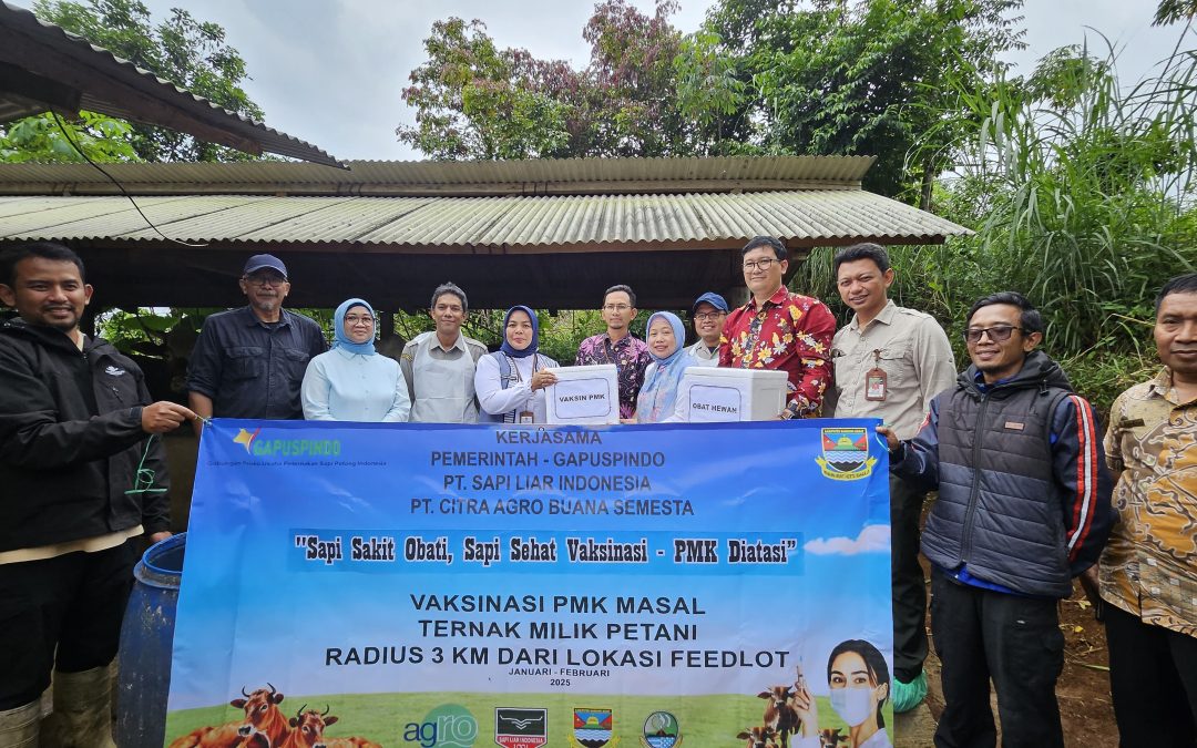 Kick Off Vaksinasi Buffer Zone Feedloter PT. Sapi Liar Indonesia dan PT. Citra Agro Buana Semesta di desa Cipatat, Kabupaten Bandung Barat