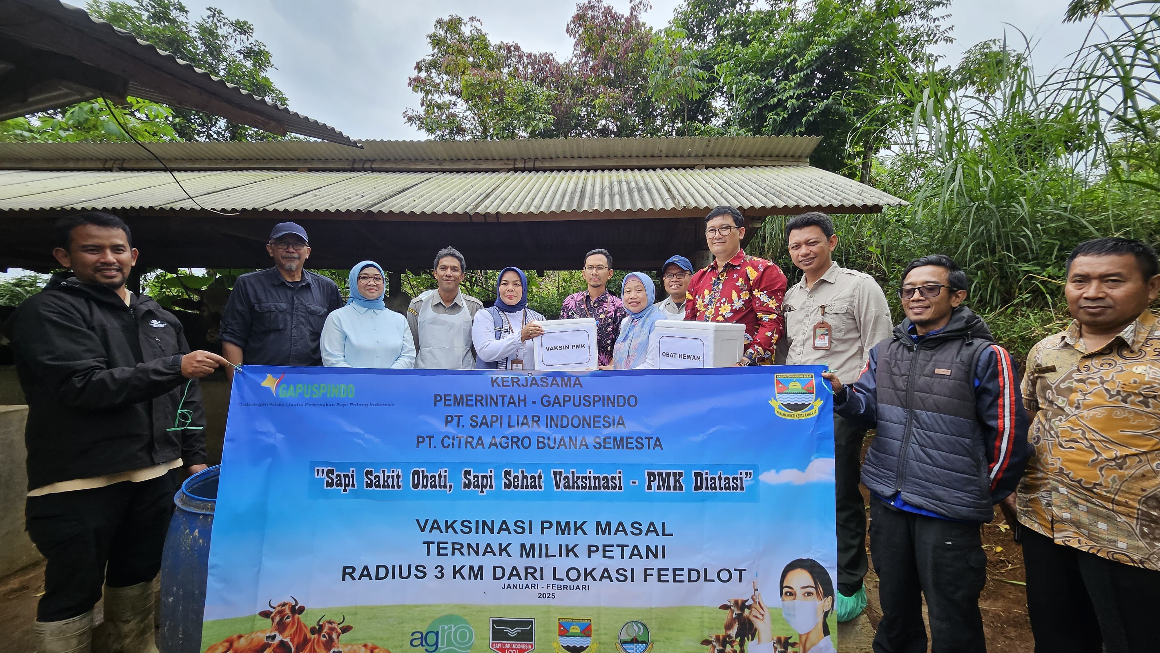 Kick Off Vaksinasi Buffer Zone Feedloter PT. Sapi Liar Indonesia dan PT. Citra Agro Buana Semesta di desa Cipatat, Kabupaten Bandung Barat